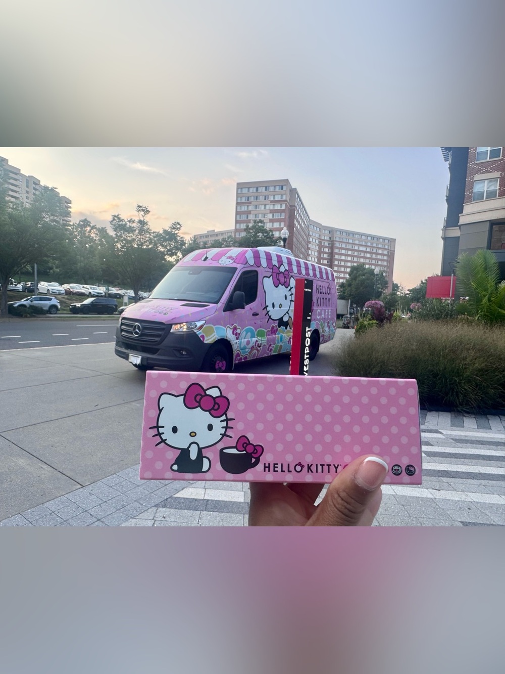 Hello Kitty Pink Cafe Party Supplies elongated box - empty